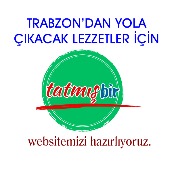 TATMIŞBİR